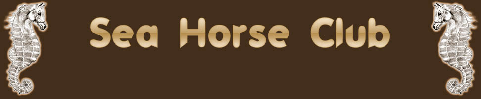 Logo Sea Horse Club Sabaudia